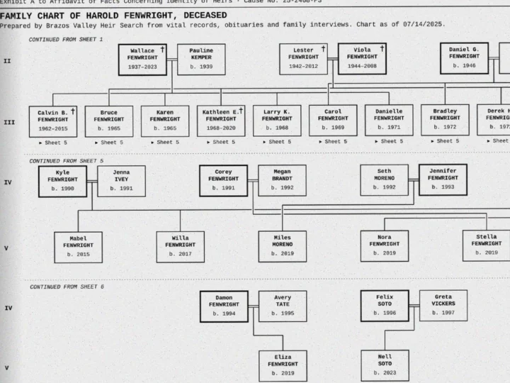 Marriage, divorce and adoption line styles on a typewriter-print scan; who inherits is drawn.